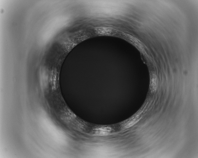 X0000088060525200705111336