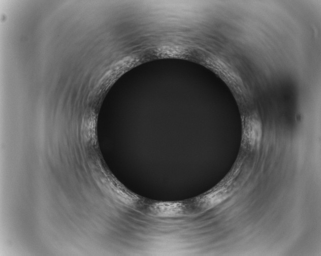 X0000088060526200705111336