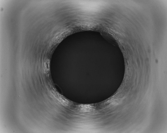 X0000088060528200705111336