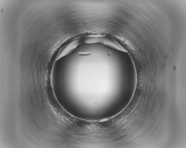 X0000088060544200705111335