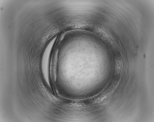 X0000088060545200705111335