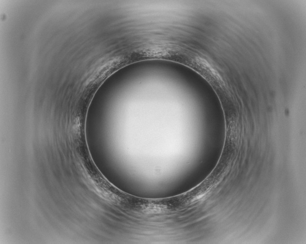 X0000088060549200705111336