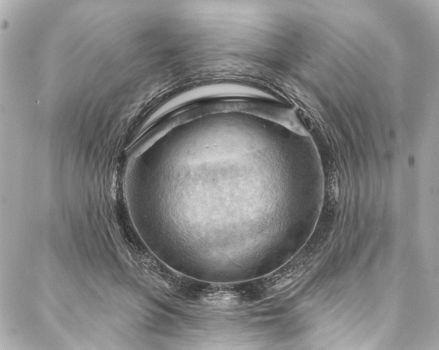 X0000088060551200705111336