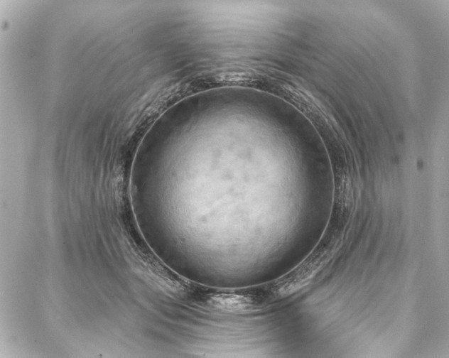 X0000088060557200705111336