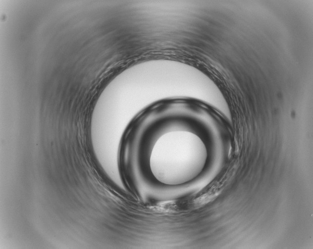 X0000088060558200705111336