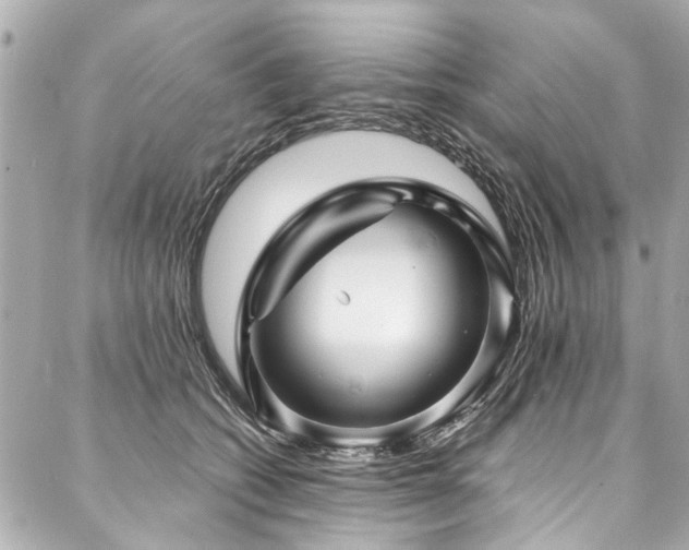 X0000088060562200705111336