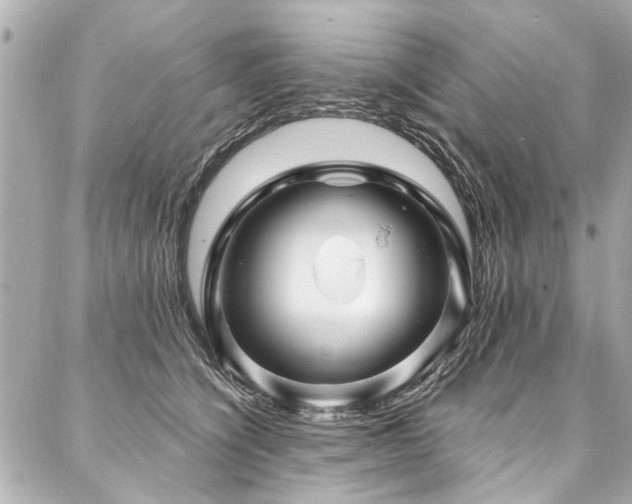 X0000088060564200705111336