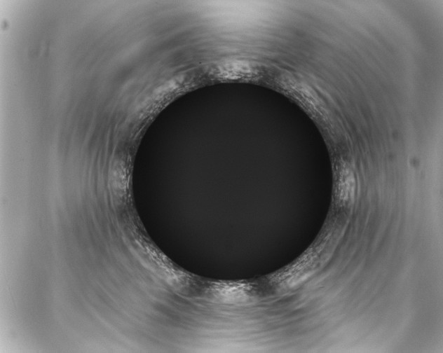X0000088060569200705111336