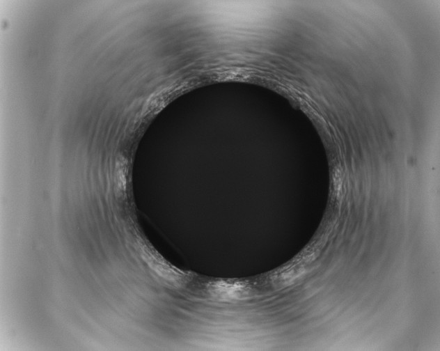 X0000088060570200705111336
