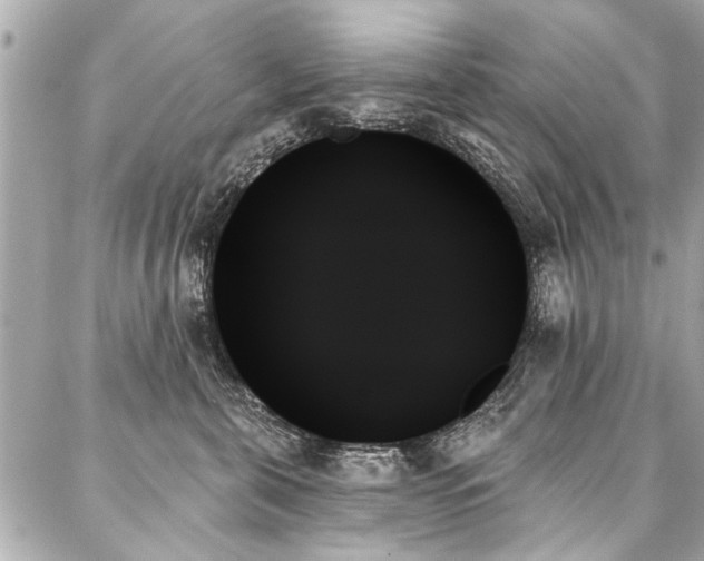 X0000088060571200705111336