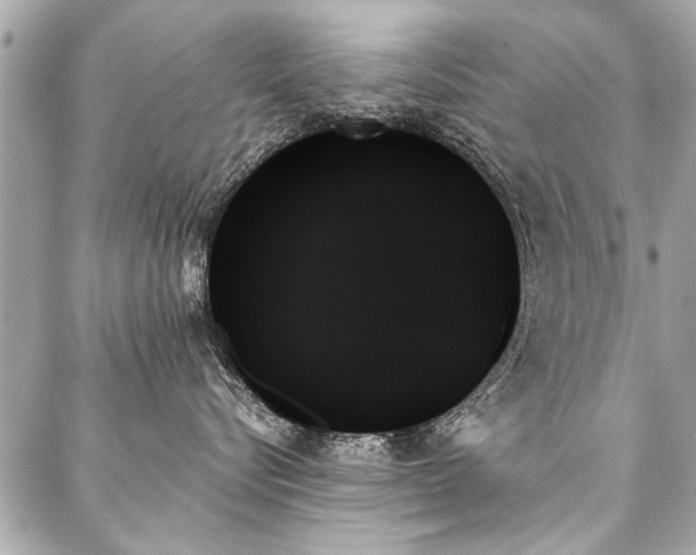 X0000088060576200705111336