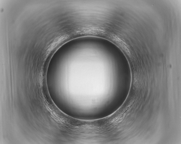 X0000088060578200705111335