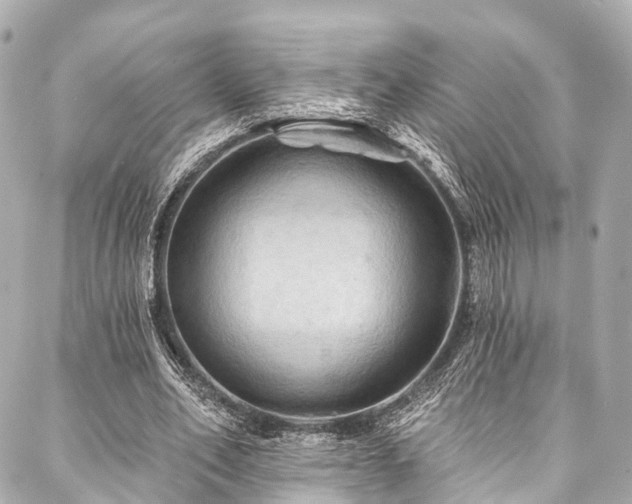 X0000088060582200705111335