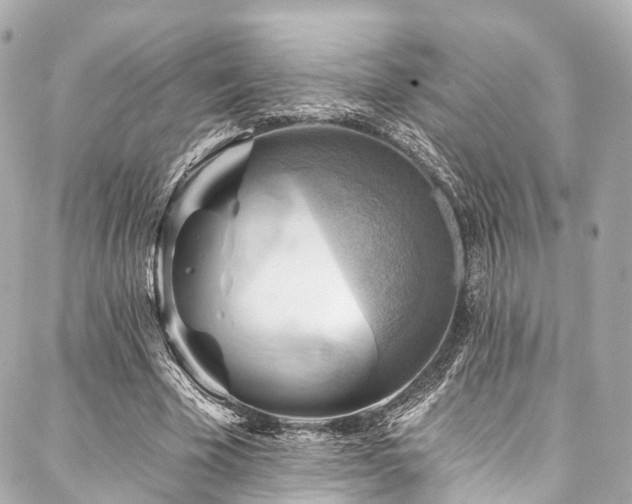 X0000088060585200705111335