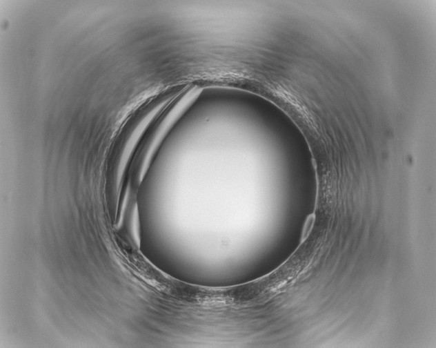X0000088060587200705111335