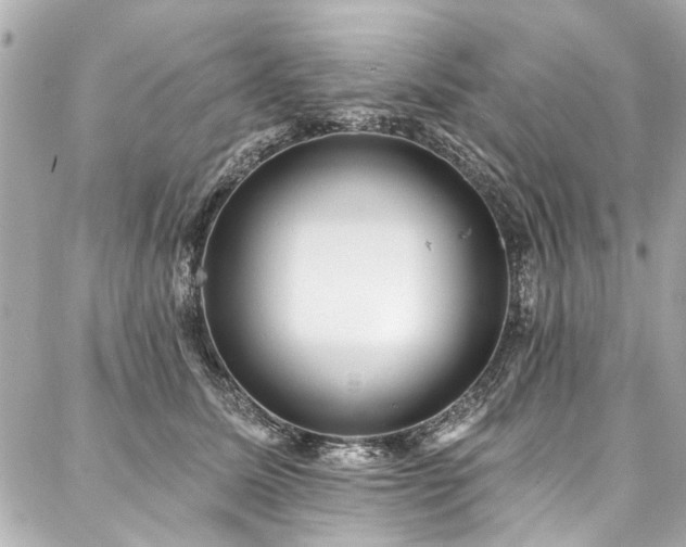 X0000088060611200705111335