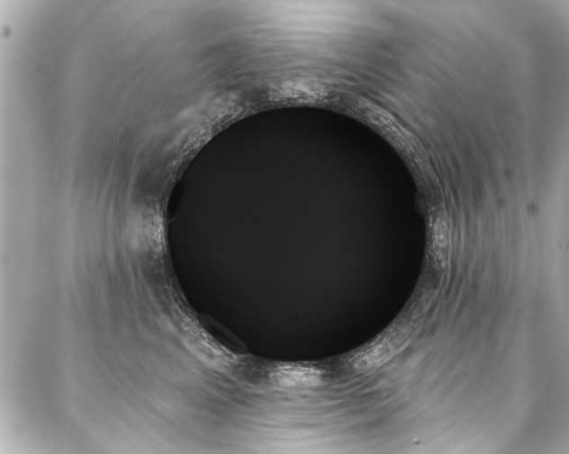 X0000088060617200705111335
