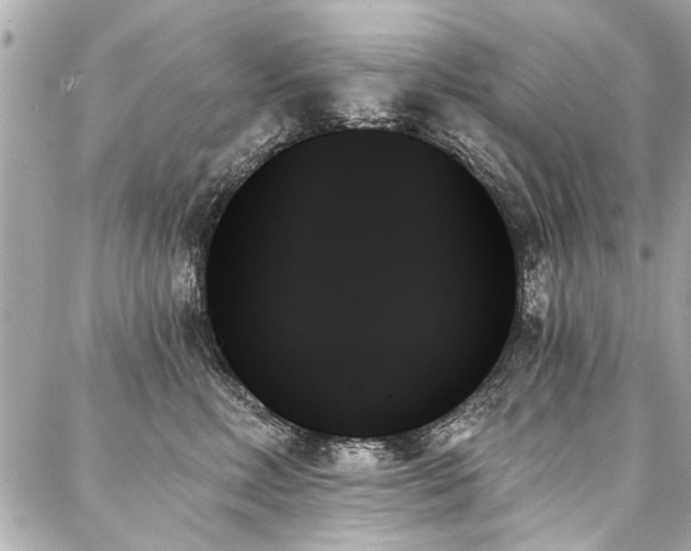 X0000088060618200705111334