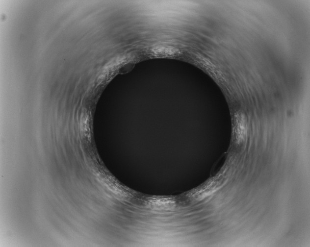 X0000088060619200705111334