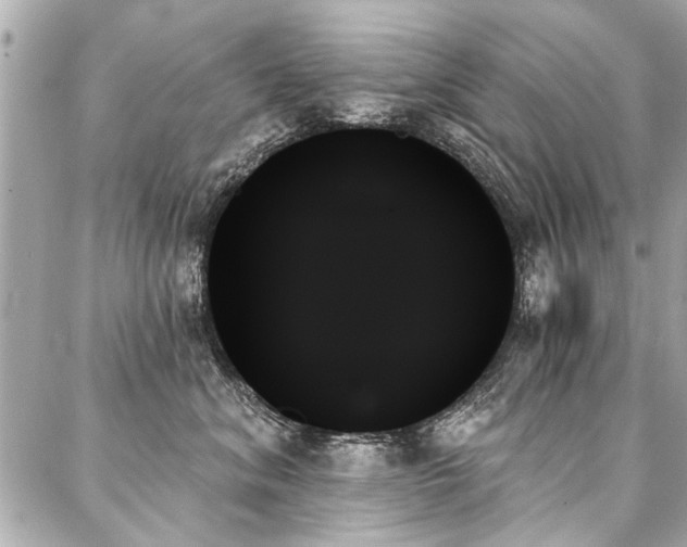 X0000088060620200705111334