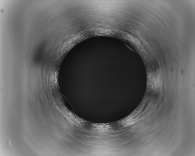 X0000088060621200705111334