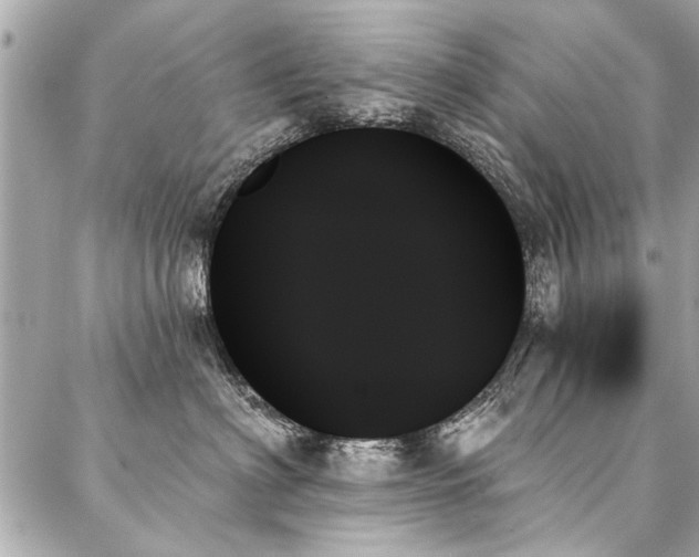 X0000088060622200705111334