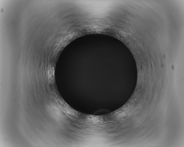 X0000088060624200705111334