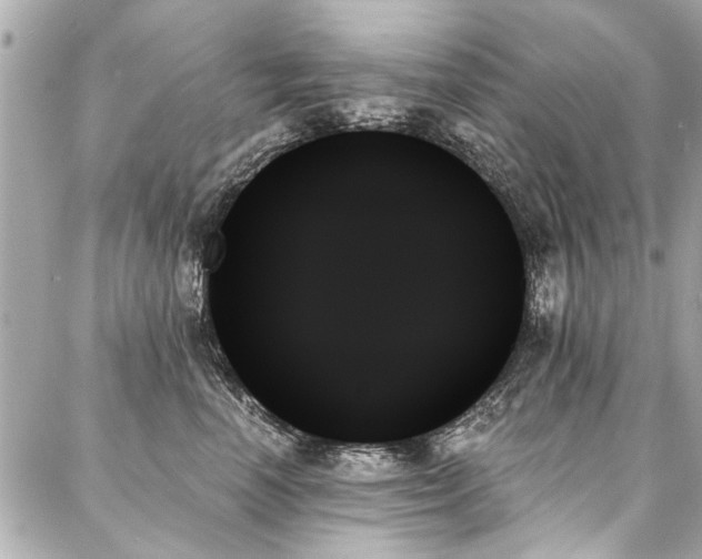 X0000088060666200705111334