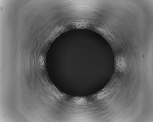 X0000088060667200705111334