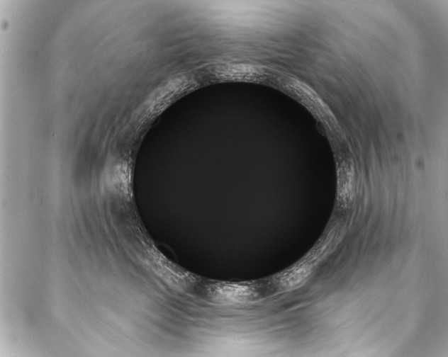 X0000088060669200705111334