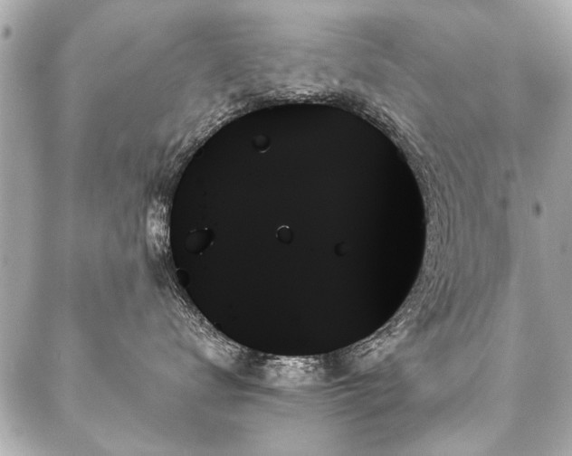 X0000088060672200705111334