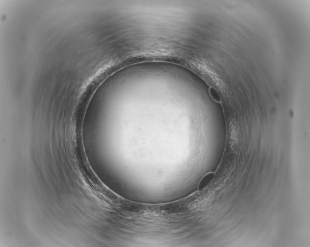 X0000088060684200705111333