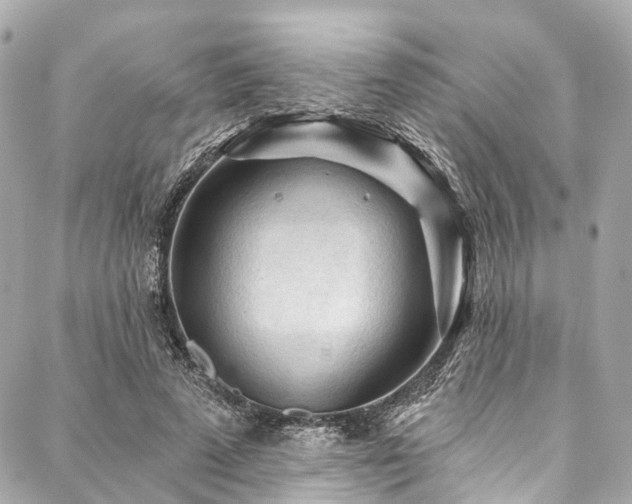X0000088060689200705111333