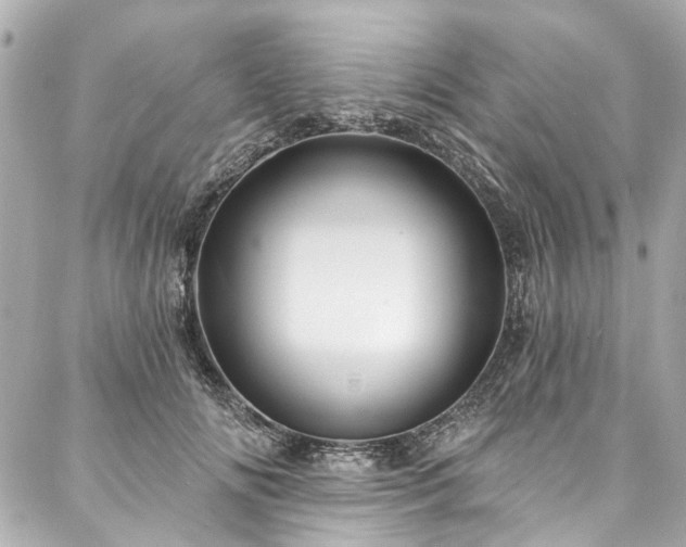 X0000088060702200705111333