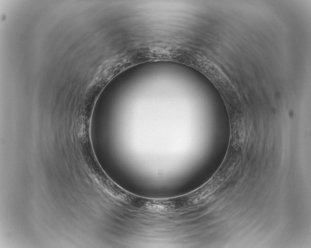 X0000088060706200705111333