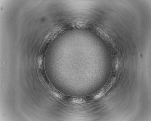 X0000088060709200705111333