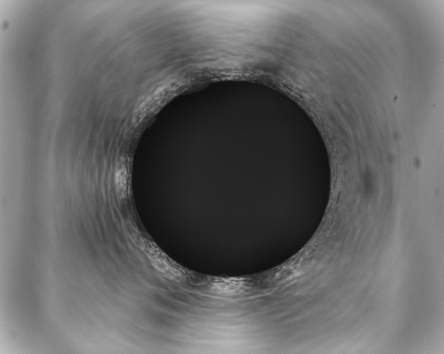 X0000088060720200705111333