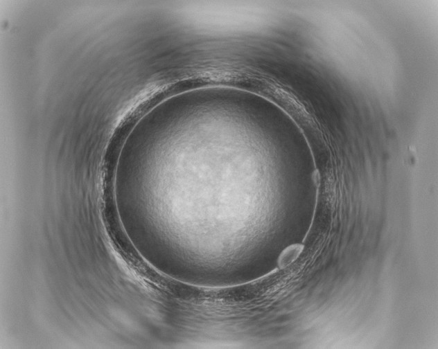 X0000088060730200705111332