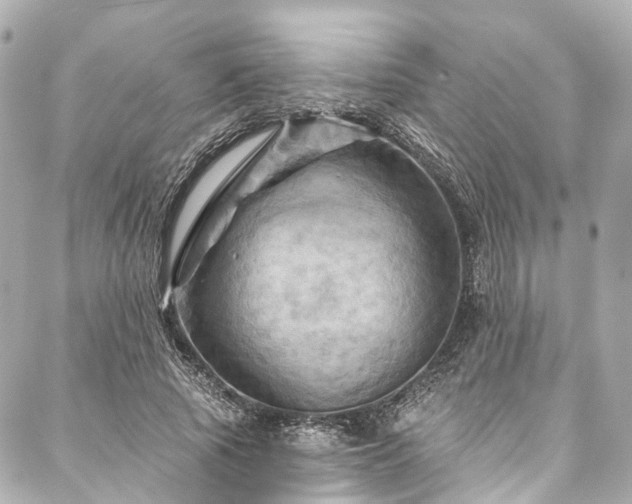 X0000088060737200705111332