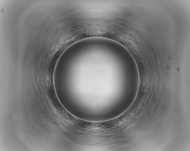 X0000088060743200705111332