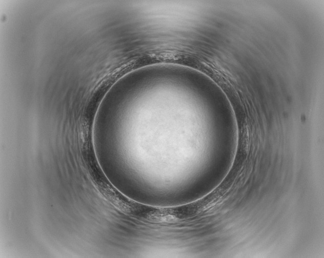 X0000088060747200705111332
