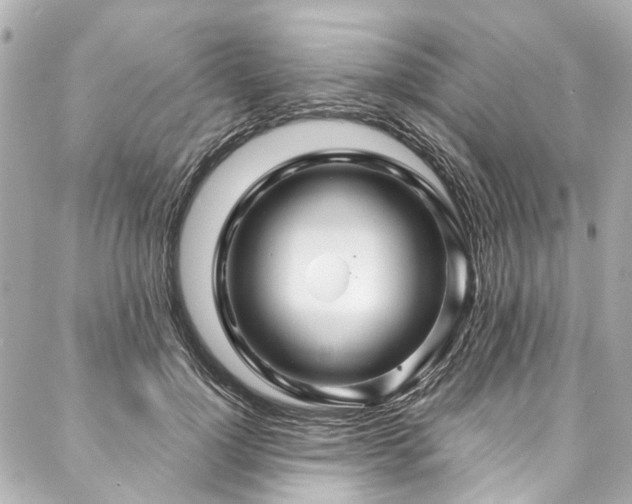 X0000088060748200705111332
