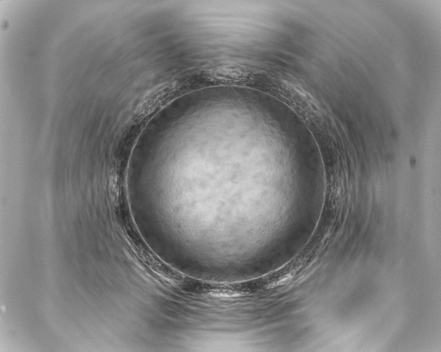 X0000088060749200705111333