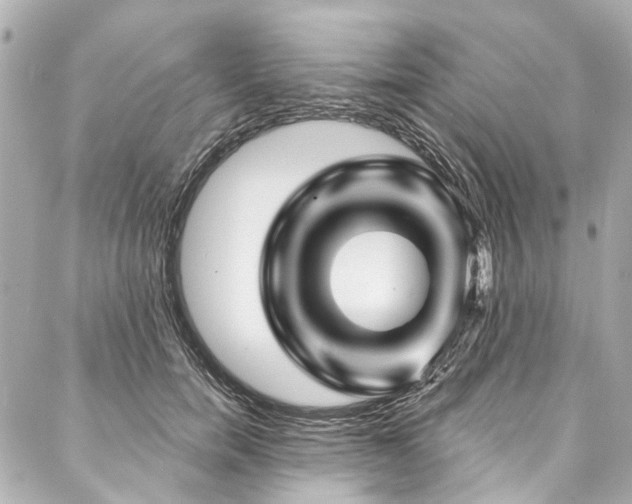 X0000088060750200705111333