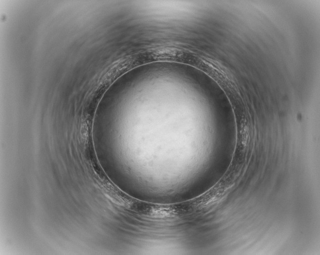 X0000088060753200705111333