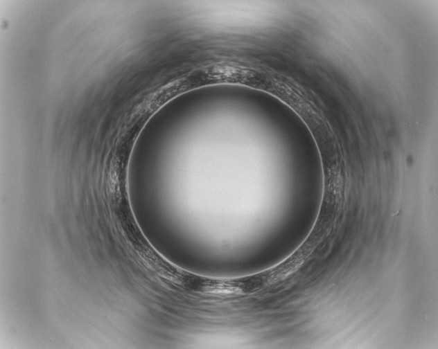 X0000088060754200705111333