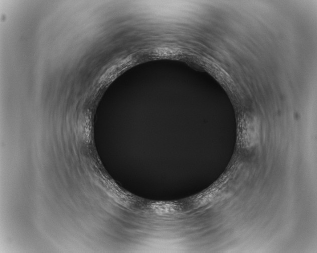 X0000088060762200705111333