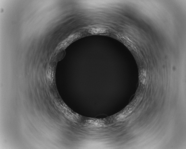X0000088060763200705111333