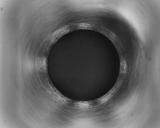 X0000088060765200705111333