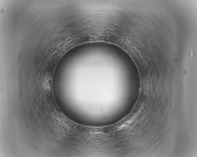 X0000088060770200705111332